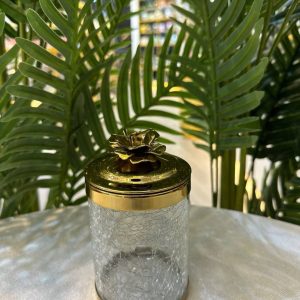 img_1211