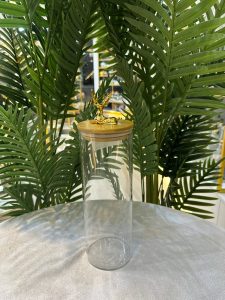 img_1888