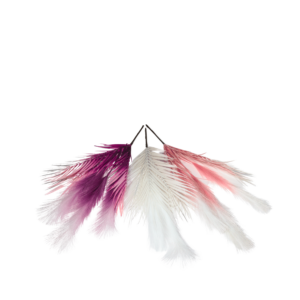 PAMPAS GRASS PINK PURPLE WHITE