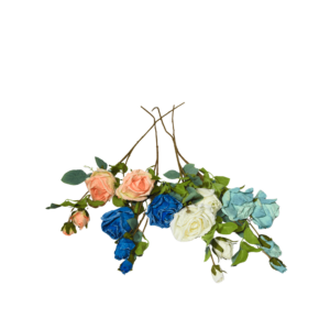 FLOWER PER ROSE
